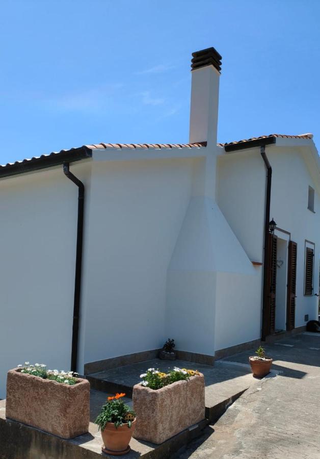 La_Casa_Di_ Willy Canai Exterior foto